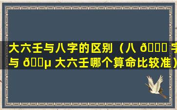 大六壬与八字的区别（八 🐅 字与 🐵 大六壬哪个算命比较准）